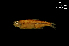  ( - LBPV-25091)  @13 [ ] Unspecified (default): All Rights Reserved  Unspecified Unspecified