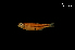  ( - LBPV-25162)  @13 [ ] Unspecified (default): All Rights Reserved  Unspecified Unspecified