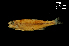  ( - LBPV-25219)  @13 [ ] Unspecified (default): All Rights Reserved  Unspecified Unspecified