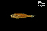  ( - LBPV-31609)  @13 [ ] Unspecified (default): All Rights Reserved  Unspecified Unspecified