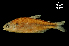  ( - LBPV-35904)  @13 [ ] Unspecified (default): All Rights Reserved  Unspecified Unspecified