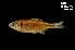  ( - LBPV-35905)  @13 [ ] Unspecified (default): All Rights Reserved  Unspecified Unspecified