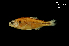  ( - LBPV-35906)  @13 [ ] Unspecified (default): All Rights Reserved  Unspecified Unspecified