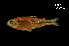  ( - LBPV-35933)  @13 [ ] Unspecified (default): All Rights Reserved  Unspecified Unspecified