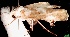  ( - 1219901A4Aug1999)  @12 [ ] CreativeCommons - Attribution Non-Commercial Share-Alike (2012) Eric LaGasa Washington State Department of Agriculture