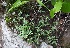  ( - IBOLFlorentin-14)  @11 [ ] Copyright (2018) IBONE IBONE