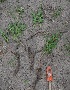  ( - IBOLFlorentin-16)  @11 [ ] Copyright (2018) IBONE IBONE
