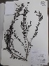  ( - IBOLFlorentin-80)  @11 [ ] Copyright (2018) IBONE IBONE