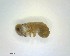 ( - LC01242-26834-D12)  @12 [ ] CreativeCommons - Attribution Non-Commercial Share-Alike (2015) Martin Sigut Department of Biology and Ecology, University of Ostrava