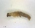  ( - LC02659-26834-F02)  @12 [ ] CreativeCommons - Attribution Non-Commercial Share-Alike (2015) Martin Sigut Department of Biology and Ecology, University of Ostrava