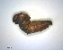  ( - LC1400114-26834-B04)  @12 [ ] CreativeCommons - Attribution Non-Commercial Share-Alike (2015) Martin Sigut Department of Biology and Ecology, University of Ostrava