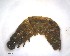  ( - LC1401905-26835-E06)  @12 [ ] CreativeCommons - Attribution Non-Commercial Share-Alike (2015) Martin Sigut Department of Biology and Ecology, University of Ostrava