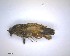  ( - LC1402601-26837-C07)  @12 [ ] CreativeCommons - Attribution Non-Commercial Share-Alike (2015) Martin Sigut Department of Biology and Ecology, University of Ostrava