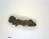  ( - LC1403578-26835-H08)  @12 [ ] CreativeCommons - Attribution Non-Commercial Share-Alike (2015) Martin Sigut Department of Biology and Ecology, University of Ostrava