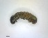  ( - LCM00056-26834-D11)  @12 [ ] CreativeCommons - Attribution Non-Commercial Share-Alike (2015) Martin Sigut Department of Biology and Ecology, University of Ostrava