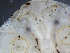  ( - 429B_COI)  @11 [ ] No Rights Reserved (2019) Unspecified Environmental Protection Agency, Office of Research and Development, Duluth, MN