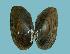  ( - 11F-01_COI)  @11 [ ] No Rights Reserved (2018) Unspecified U.S. EPA GLTED