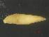  (Helobdella elongata - 71D-03_COI)  @11 [ ] No Rights Reserved (2018) Unspecified U.S. EPA GLTED
