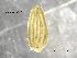  ( - 169B-01_COI)  @11 [ ] No Rights Reserved (2018) Unspecified U.S. EPA GLTED