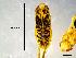  ( - 479A_COI)  @11 [ ] No Rights Reserved (2018) Unspecified U.S. EPA GLTED