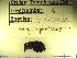  ( - ATLANCRUS097)  @13 [ ] CreativeCommons - Attribution (2010) Unspecified Centre for Biodiversity Genomics