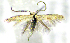  ( - MZH_F.469302)  @11 [ ] by-nc (2022) Erkka Laine University of Oulu