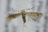  ( - MZH_F.469306)  @11 [ ] by-nc (2022) Erkka Laine University of Oulu