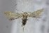  ( - MZH_F.470851)  @11 [ ] by-nc (2022) Erkka Laine University of Oulu