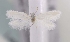  ( - MM15497)  @12 [ ] Unspecified (default): All Rights Reserved  Unspecified Unspecified