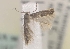  ( - MM16121)  @12 [ ] Unspecified (default): All Rights Reserved  Unspecified Unspecified