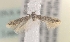  ( - MM16122)  @12 [ ] Unspecified (default): All Rights Reserved  Unspecified Unspecified
