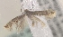  ( - MM16123)  @12 [ ] Unspecified (default): All Rights Reserved  Unspecified Unspecified