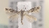  ( - MM16125)  @12 [ ] Unspecified (default): All Rights Reserved  Unspecified Unspecified