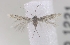  ( - MM16129)  @12 [ ] Unspecified (default): All Rights Reserved  Unspecified Unspecified