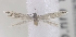  ( - MM16130)  @12 [ ] Unspecified (default): All Rights Reserved  Unspecified Unspecified