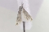  ( - MM16137)  @12 [ ] Unspecified (default): All Rights Reserved  Unspecified Unspecified