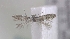  ( - MM16142)  @12 [ ] Unspecified (default): All Rights Reserved  Unspecified Unspecified