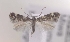  ( - MM16178)  @11 [ ] Unspecified (default): All Rights Reserved  Unspecified Unspecified