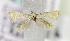  ( - MM16709)  @12 [ ] Unspecified (default): All Rights Reserved  Unspecified Unspecified
