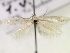  ( - MM16730)  @12 [ ] Unspecified (default): All Rights Reserved  Unspecified Unspecified