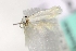  ( - MM16733)  @12 [ ] Unspecified (default): All Rights Reserved  Unspecified Unspecified