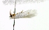  ( - MM16745)  @12 [ ] Unspecified (default): All Rights Reserved  Unspecified Unspecified