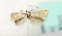  ( - MM16749)  @12 [ ] Unspecified (default): All Rights Reserved  Unspecified Unspecified
