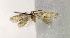  ( - MM16781)  @12 [ ] Unspecified (default): All Rights Reserved  Unspecified Unspecified