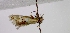  ( - MM16783)  @11 [ ] Unspecified (default): All Rights Reserved  Unspecified Unspecified