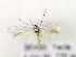  ( - MM16785)  @14 [ ] Unspecified (default): All Rights Reserved  Unspecified Unspecified