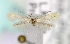  ( - MM16794)  @13 [ ] Unspecified (default): All Rights Reserved  Unspecified Unspecified