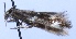  ( - MM20891)  @12 [ ] No Rights Reserved (2011) Marko Mutanen University of Oulu