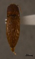  ( - ELAT031)  @11 [ ] Unspecified (default): All Rights Reserved  Unspecified Unspecified