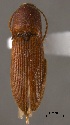  ( - ELAT033)  @11 [ ] Unspecified (default): All Rights Reserved  Unspecified Unspecified